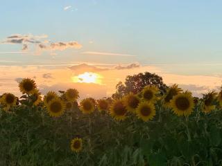 Comfortable countryside gite access to jacuzzi - Asnois - 6