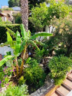 Puro mar y sol - Estepona - 2
