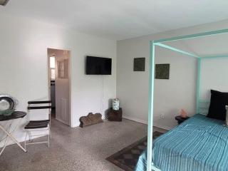 236G Studio Apt Near DownTown - St Petersburg - 5