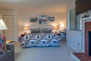 Cottonwood Condo 1453 - Sun Valley - 1