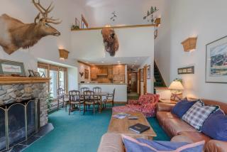 Greyhawk Condo 10 - Ketchum - 9