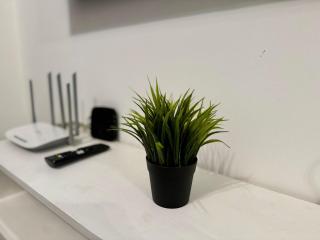 Modern Studio in City Center - 2