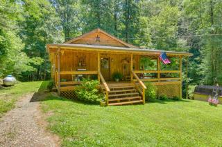 Cosby Cabin on 30 Acres: Watch Wildlife On-Site! - Cosby - 7