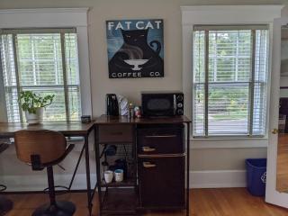 Sunny Efficiency In Historic Home - Durham - 7