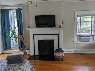 Sunny Efficiency In Historic Home - Durham - 4