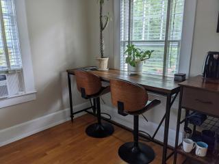 Sunny Efficiency In Historic Home - Durham - 6