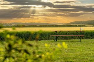 Field Barn Cottage - Burnham Market - 6