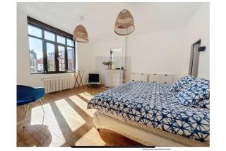 Luxury house 8pp near subway and Lille center - 6