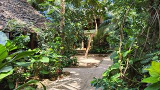 Atii Garden Bungalows - Nungwi - 0