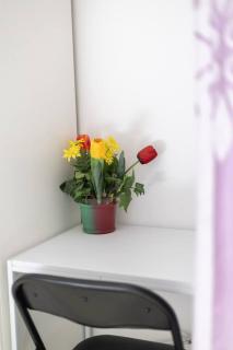 Walkable Convenience Dual Studio Cannon Hill - Brisbane - 2