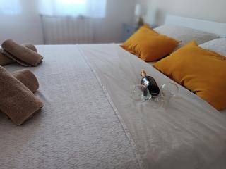 Top Center Apartment - Bijeljina - 3