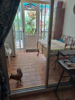 Appartement T2 meublé tout confort - Le Gosier - 5