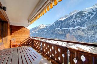 Oree du bois 15, terrasse & magical view - 7