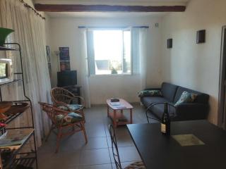 la bastide aux buis avec piscine privée - Blauvac - 3