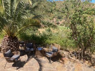 Quinta Cornélia - Casas Novas - Santa Catarina da Fonte do Bispo - 3