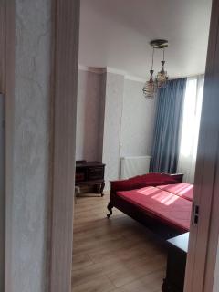 Comfort apartment - Kutaisi - 5