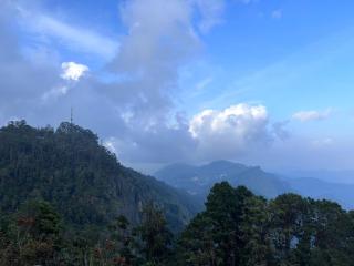 Praveen Woodhouse and Homestay Kodaikanal 9oo342S565 - 2