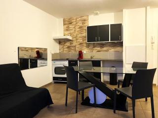 Charmant T2 calme centre ville - La Crau - 3