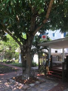 Independent Studio in Little Havana - 3