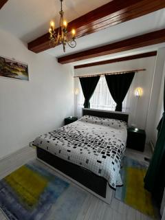 Casa cu brazi - Porumbacu de Sus - 3