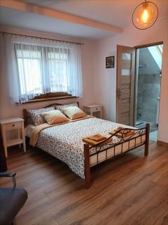 Apartamenty w Stodole - Krościenko - 9