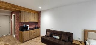 Evdo Apartments F4 wooden cozy studio - Gudauri - 1