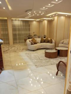 شقه فندقيه بالمنصوره - 5