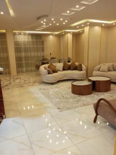 شقه فندقيه بالمنصوره - 4