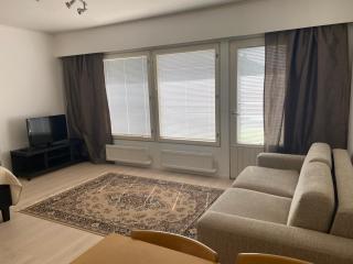 Viihtyisä itsepalvelumajoitus, tilava saunallinen yksiö - 0