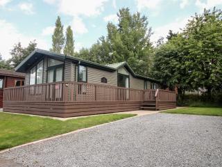 Daisy - Leominster - 9
