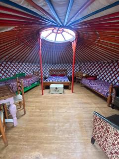Hillfort Camping and Yurts - Llanwnda - 1