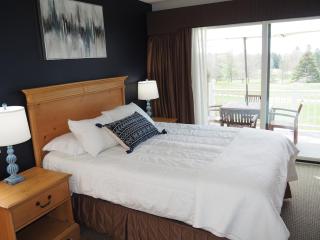 The Grand Getaway - Gorgeous And Great Location! - Traverse City - 6