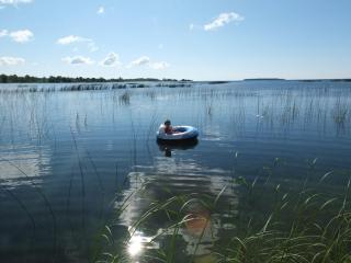 The Life Aquatic - Lakefront Kayaks Included! - 8