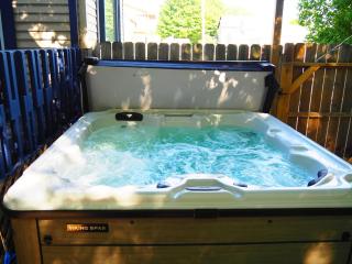 Restoration - Private Spa And Great Location! - Frankfort - 2