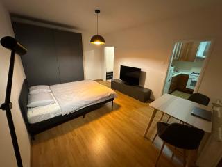 Peaceful relaxation apartment - free parking - Bratislava - 8