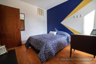 Gold 11 Cama Matrimonial y Baño Privado Externo - 2