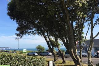 Bayside at 9 The Dome Barton on Sea - 9