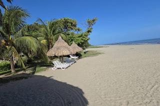 Palma Real La Ceiba Beach House - El Corazón - 3