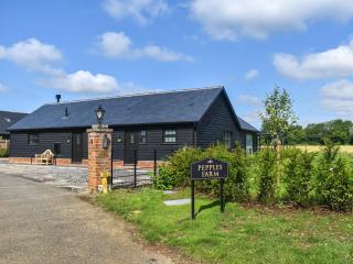 Uk47693 - Piglet Cottage - Wimbish - 9