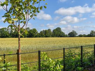 Uk47693 - Piglet Cottage - Wimbish - 3
