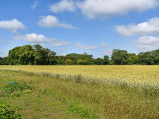 Uk47693 - Piglet Cottage - Wimbish - 1