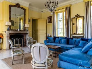 Château XVIIIème, Piscine Chauffée, Sauna, Forêt Privée, Proximité Châteaux de la Loire - FR-1-381-46 - Monnaie - 5