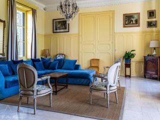 Château XVIIIème, Piscine Chauffée, Sauna, Forêt Privée, Proximité Châteaux de la Loire - FR-1-381-46 - Monnaie - 4