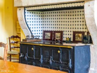Château XVIIIème, Piscine Chauffée, Sauna, Forêt Privée, Proximité Châteaux de la Loire - FR-1-381-46 - Monnaie - 1