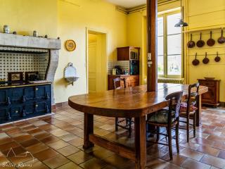 Château XVIIIème, Piscine Chauffée, Sauna, Forêt Privée, Proximité Châteaux de la Loire - FR-1-381-46 - Monnaie - 2