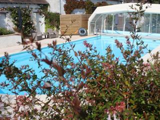 Gîte charmant avec piscine chauffée, proche d'Amboise et des châteaux de la Loire - FR-1-381-524 - Saint-Règle - 8