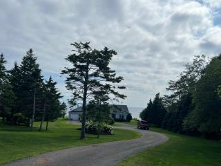 Xiao's Island Paradise - 7