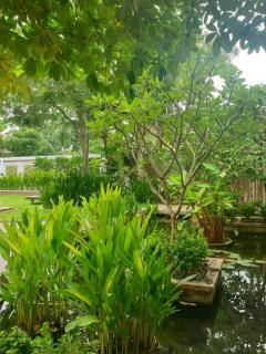 Bamboo Retreat Villa - Siem Reap - 2