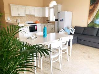 Beachfront private villa in Cabarete with 5 separate apartments - Cabarete - 8