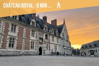 Charme Historique de Beauvoir au Cœur de Blois - Blois - 2